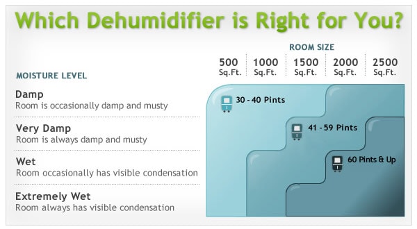 How to Choose the Best Size of Dehumidifier