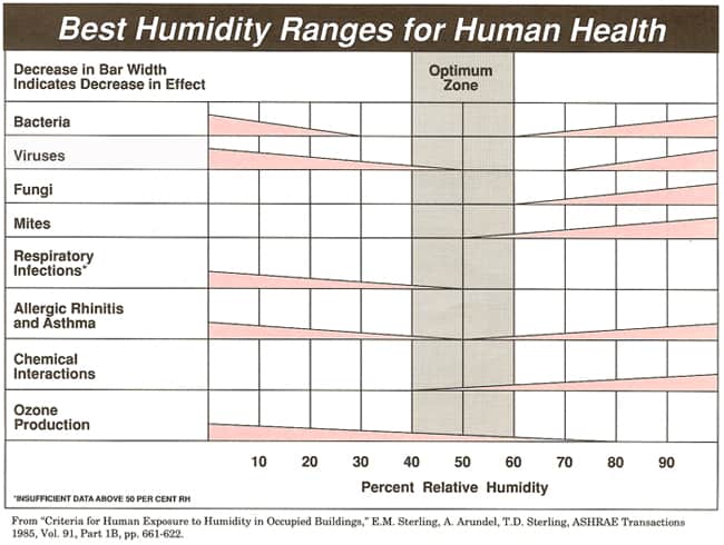 What Is The Ideal Humidity Level In A Basement