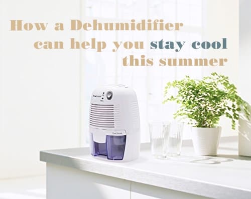 Why We Need A Dehumidifier In Summer Time