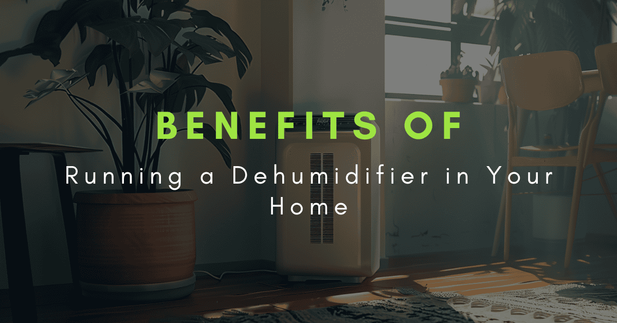 infographic benefits of running a dehumidifier in your home