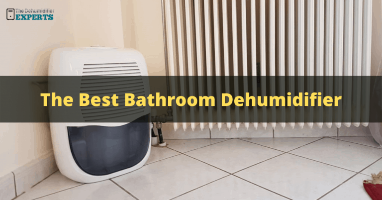Best Small Dehumidifier for a Bathroom - Reviews & Guide in 2023