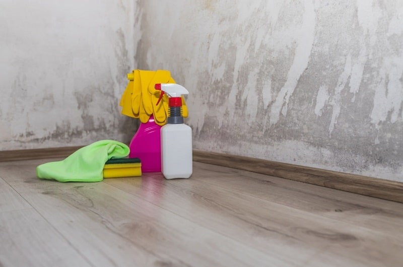 how to get rid of mold in basement