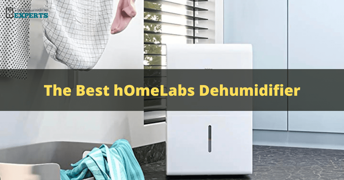 best homelabs dehumidifier reviews