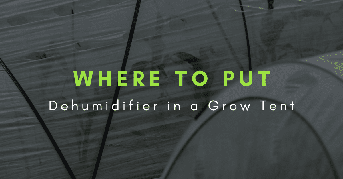 where to put dehumidifier in a grow room