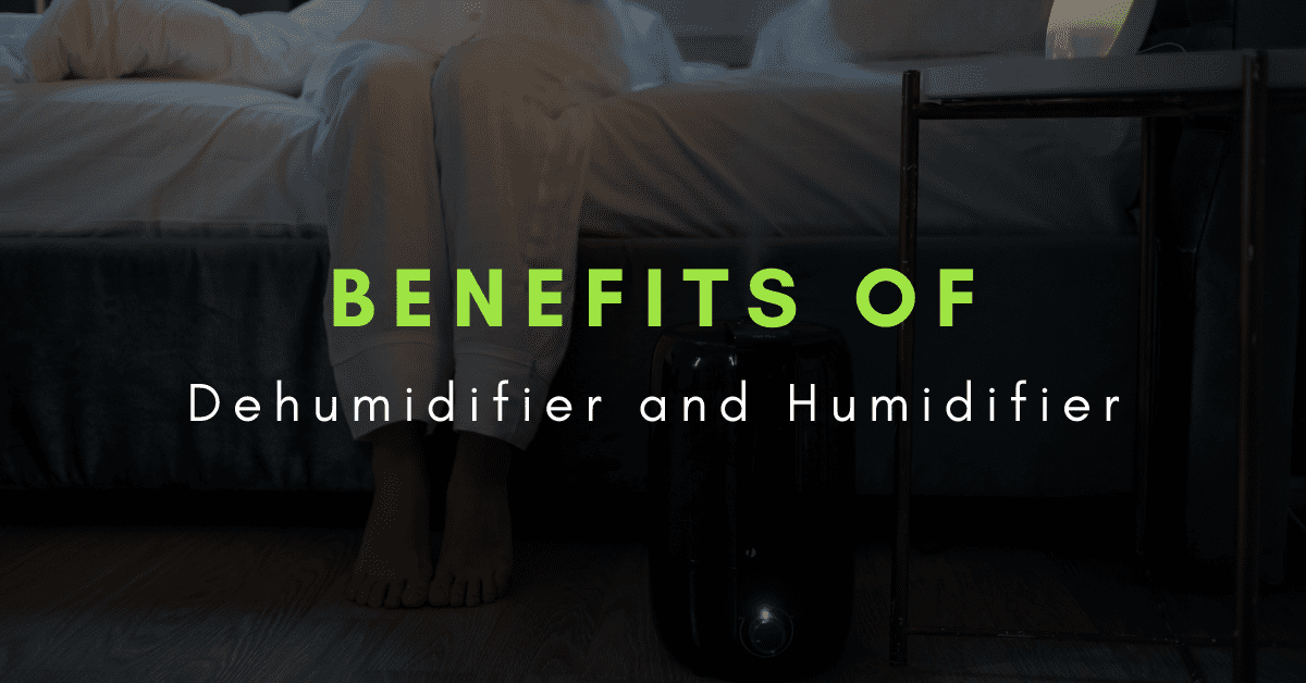dehumidifier or humidifier