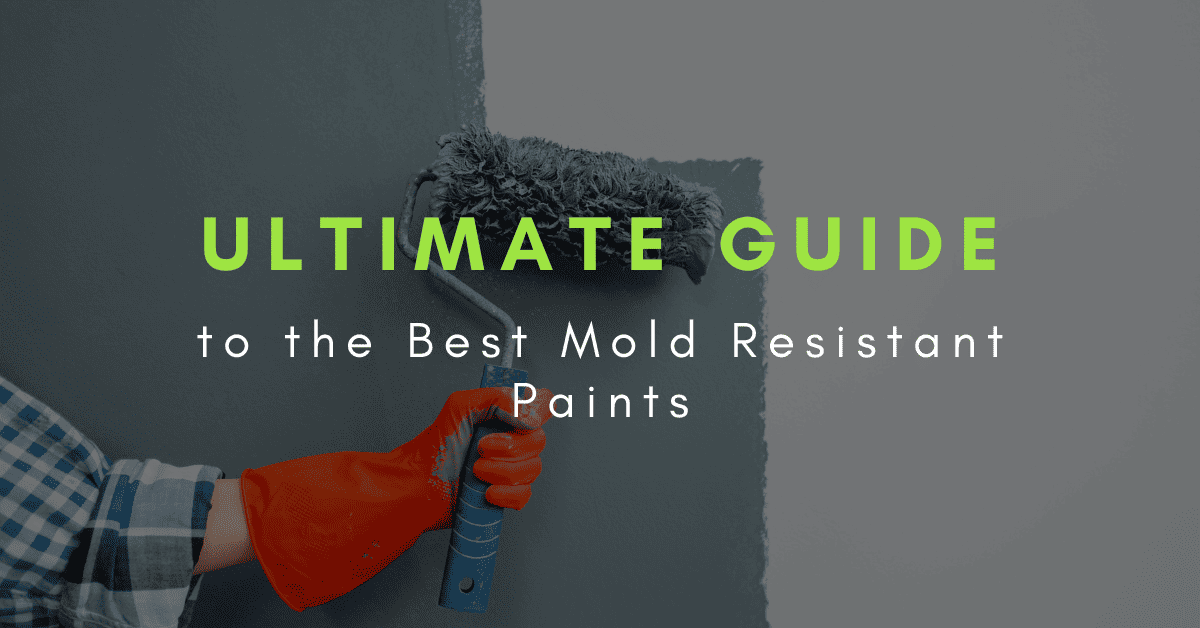 best mold resistant paint
