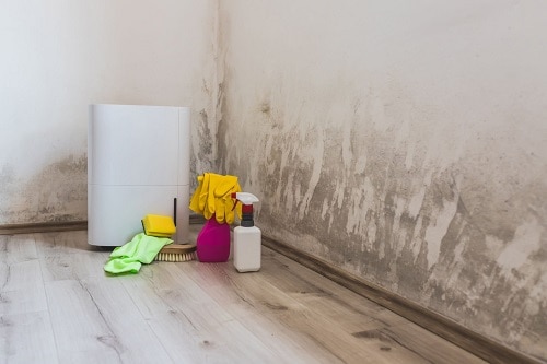 dehumidifier helps control mold growth and protect your property