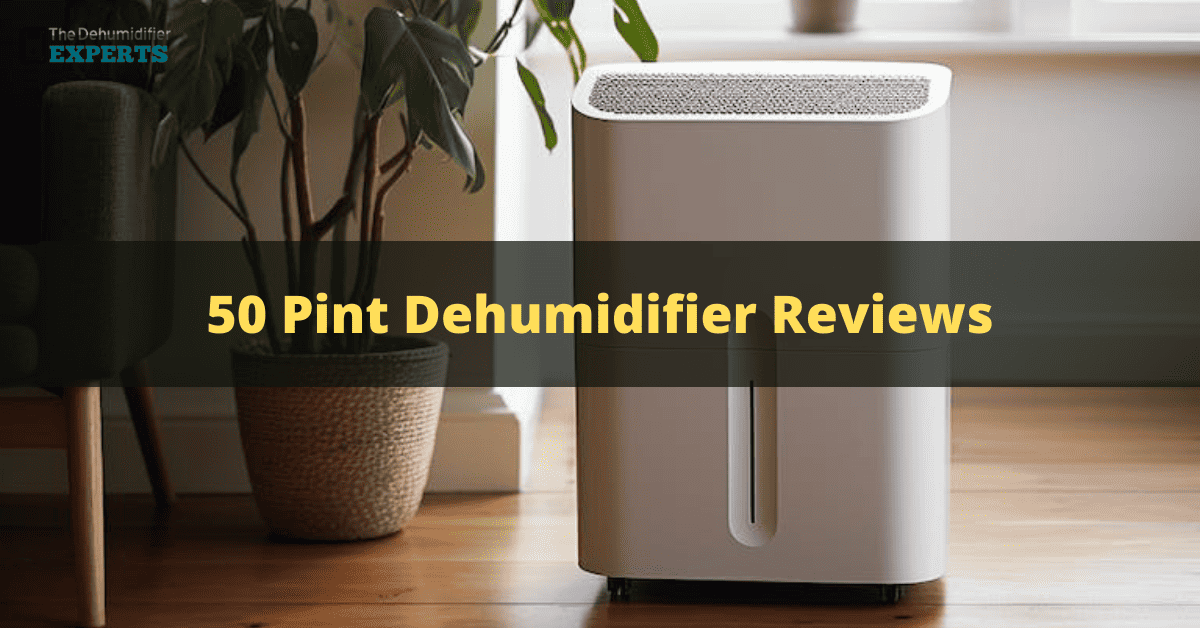 best 50 pint dehumidifier